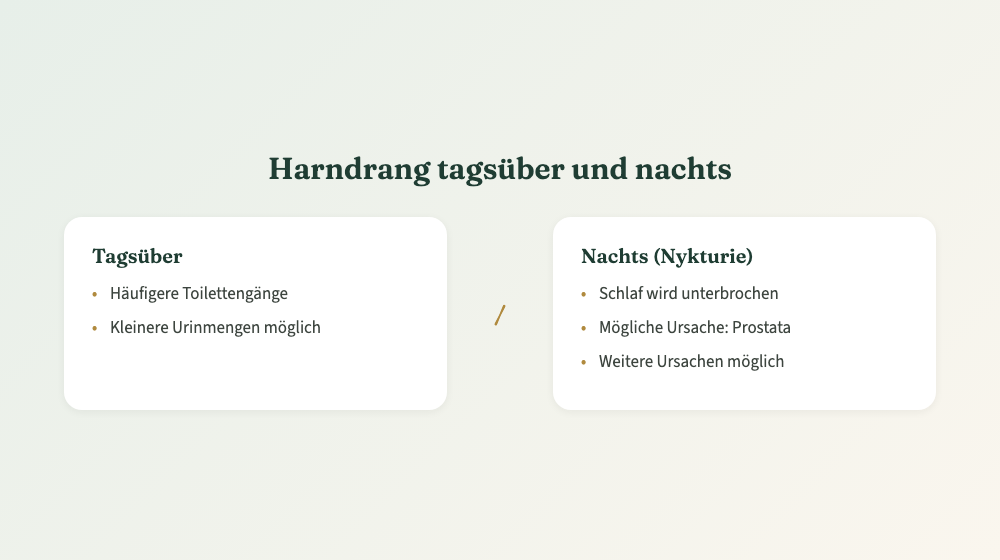 Vergleich von Harndrang tagsüber und nächtlichem Harndrang